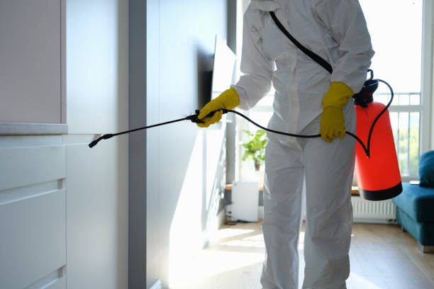 Best Comprehensive Air Testing for Mold Contaminants  in Horse Cave, KY
