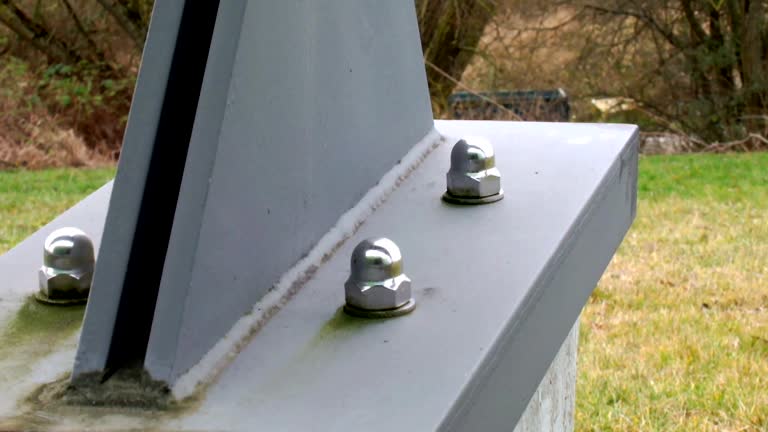 Best Mold Damage Restoration  in Horse Cave, KY